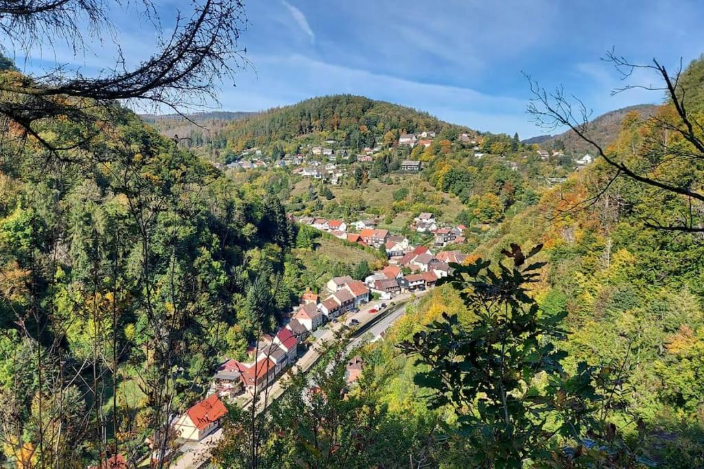 Ferienwohnung Sued - West Harz Mit Sauna E-Bikes Vorhanden! Horden am Harz Exterior photo